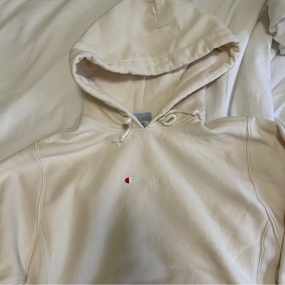 Champion UO Exclusive Reverse Weave Boyfriend Hoodie Sweatshirt - Picture 3 of 3